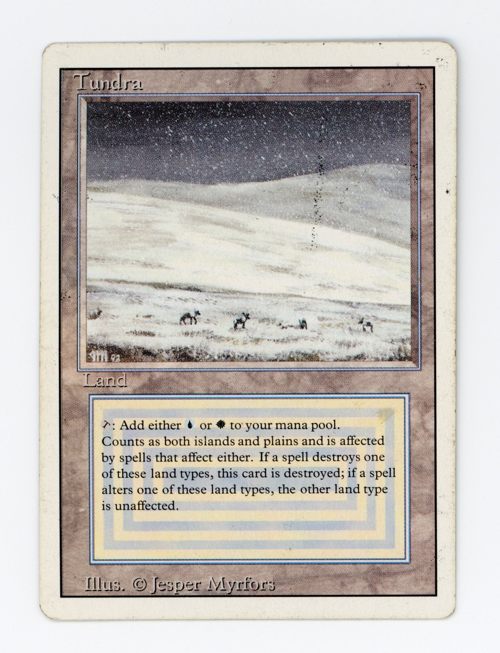 Tundra — ID 17408