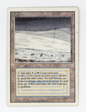 Tundra — ID 17408