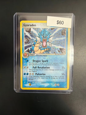 Pokemon Gyarados Holo #8/107