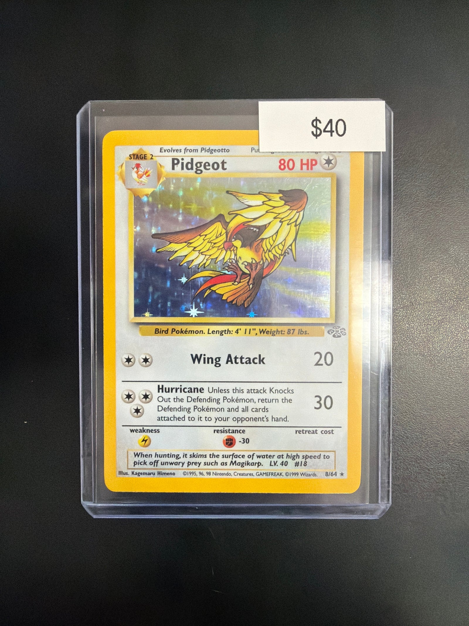 Pokemon Pidgeot Jungle #8/64 NM