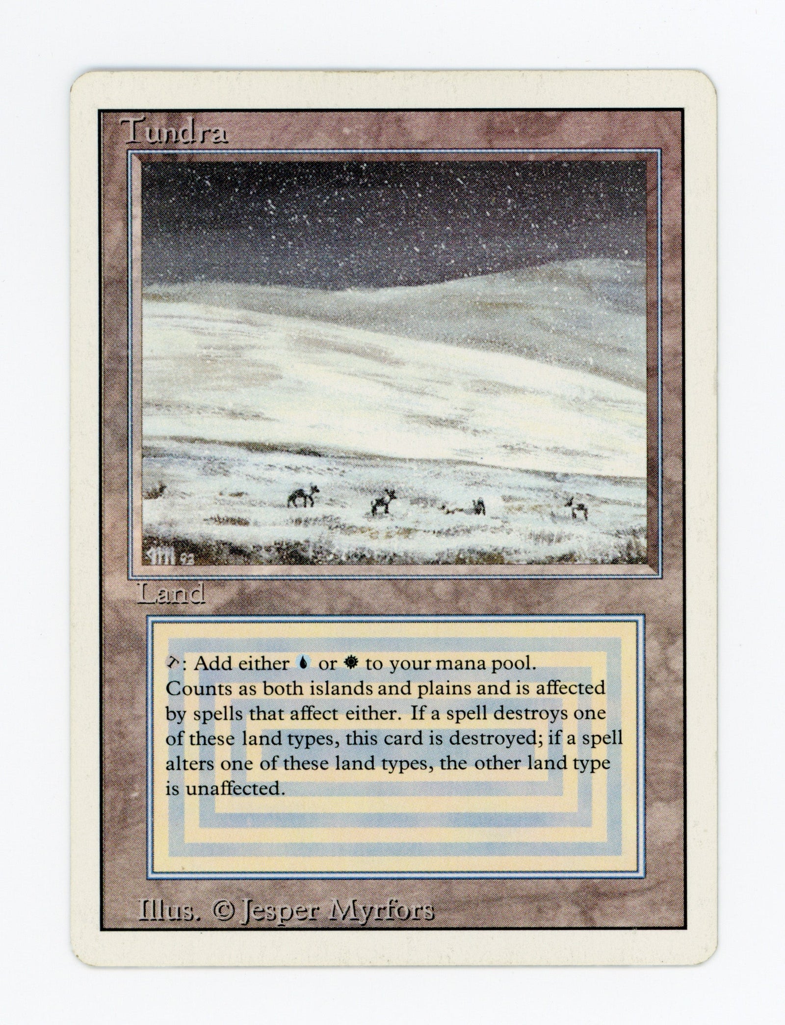 Tundra — ID 17093
