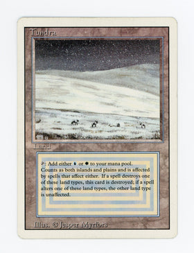 Tundra — ID 17093