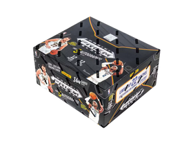 2024/25 Panini Prizm Black Basketball Hobby 12 Box Case