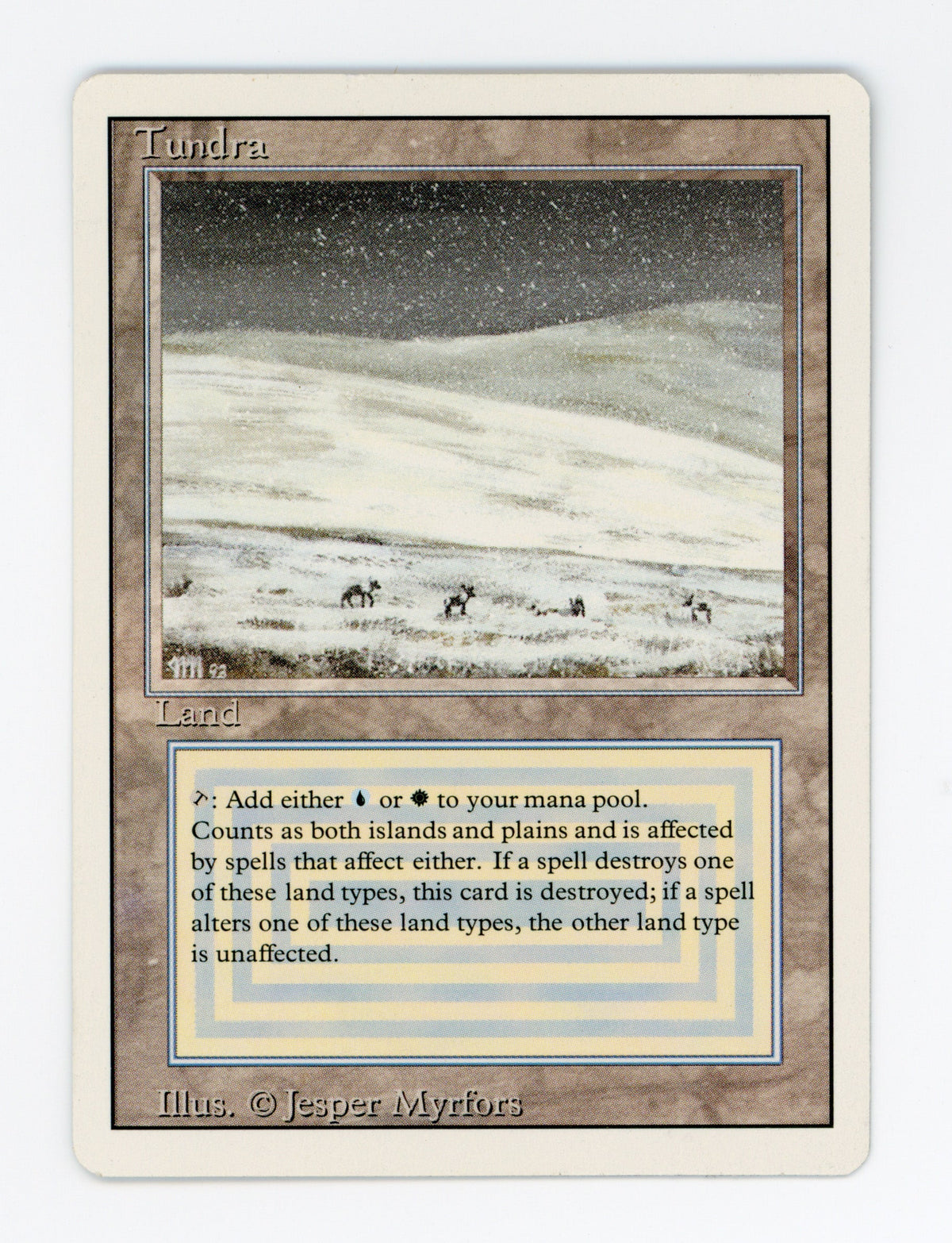 Tundra — ID 17528