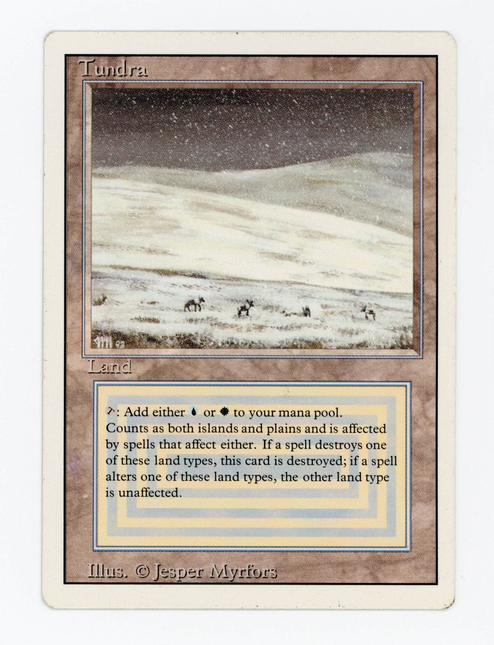 Tundra — ID 17094