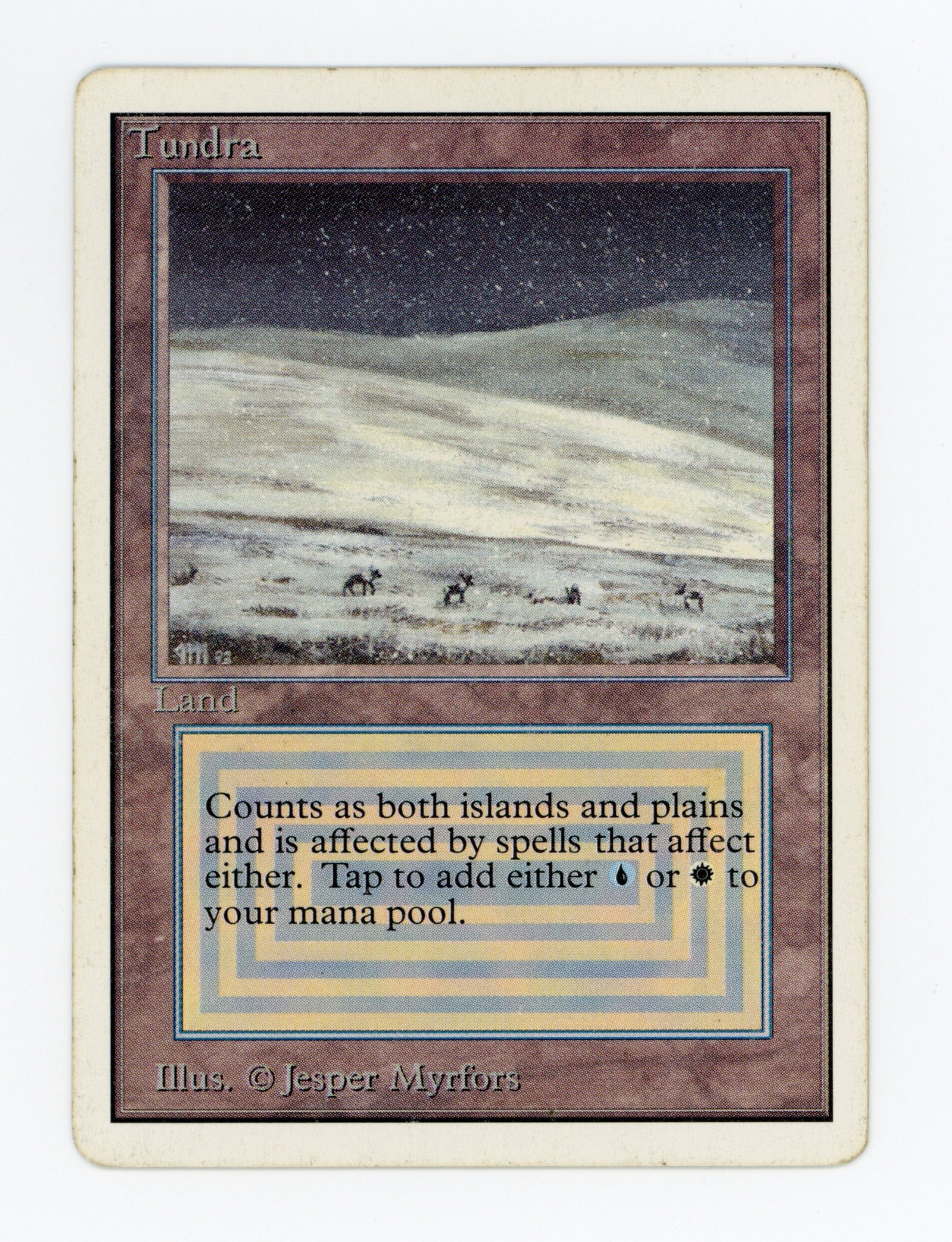 Tundra — ID 17629