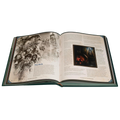 Our Brilliant Ruin RPG: Core Rulebook (PREORDER)