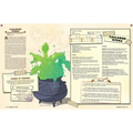 Obojima: Tales from Yatamon RPG (5E/24) (PREORDER)
