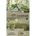 Forest Shuffle: Dartmoor - Exmoor Expansion (PREORDER)