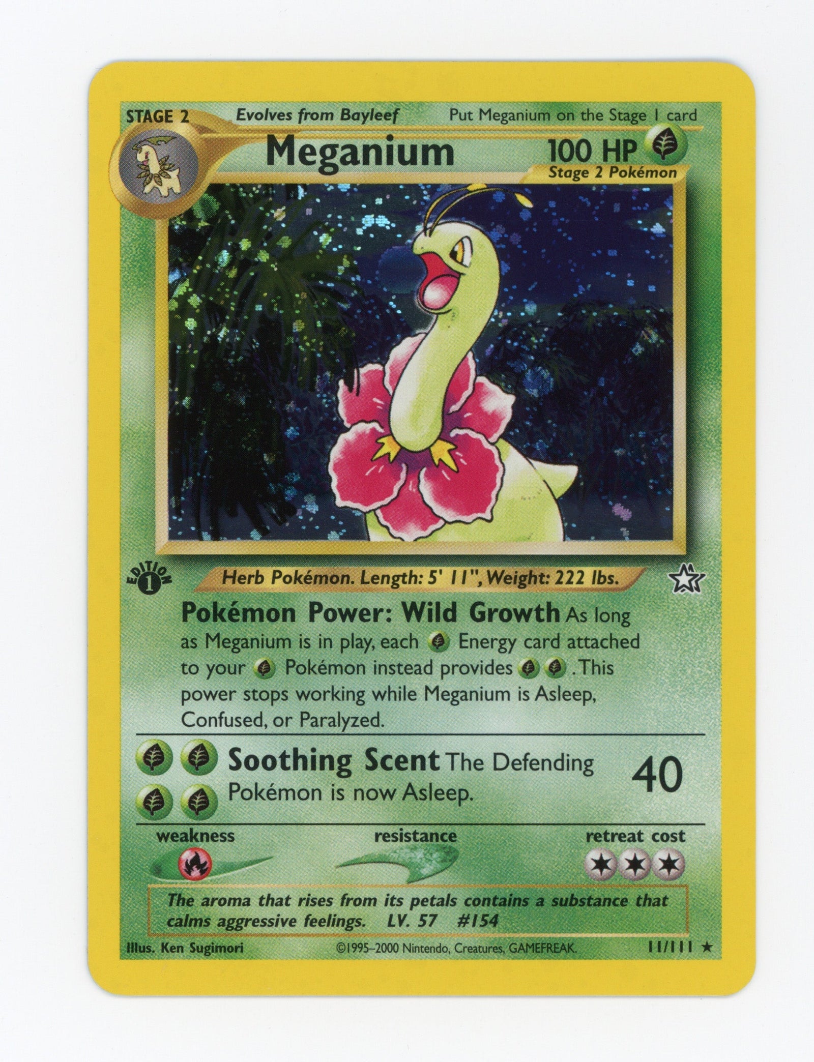 Meganium — Rare|1st Edition|Holo — ID 17200