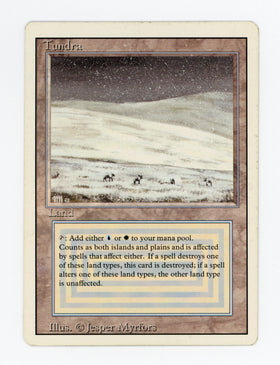 Tundra — ID 17097