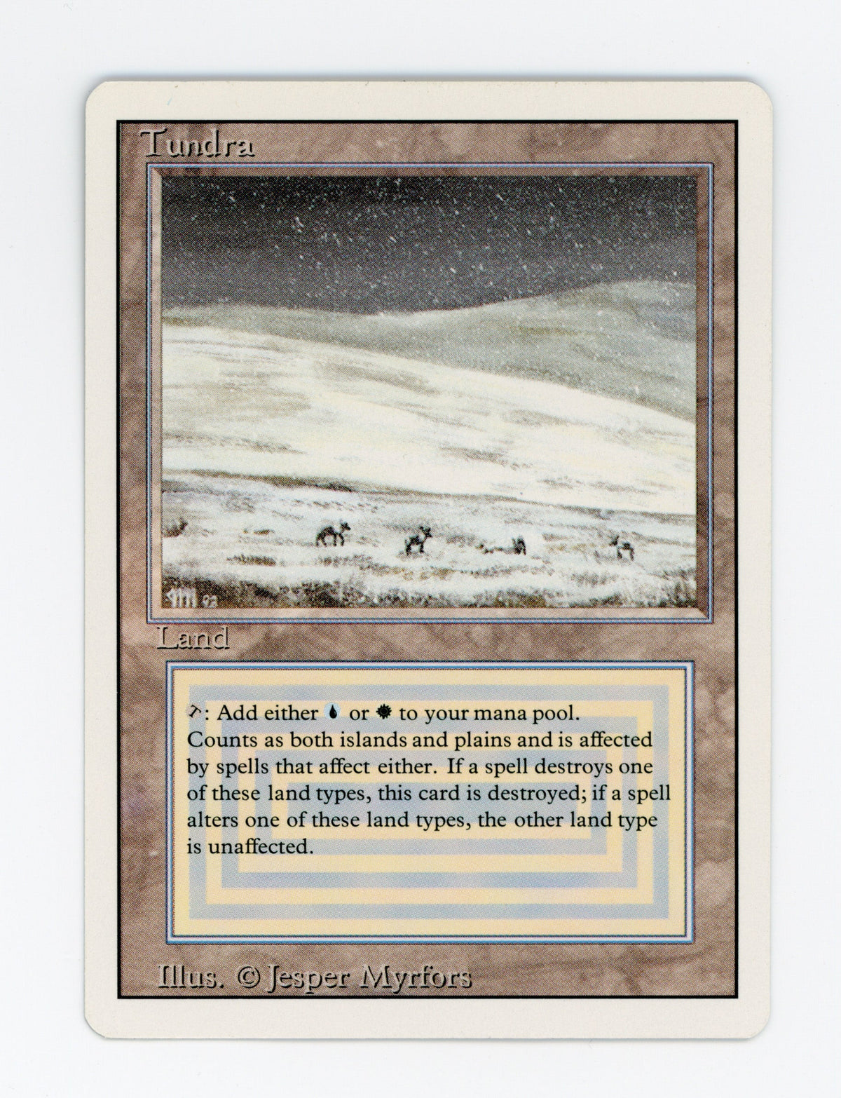 Tundra — ID 17707