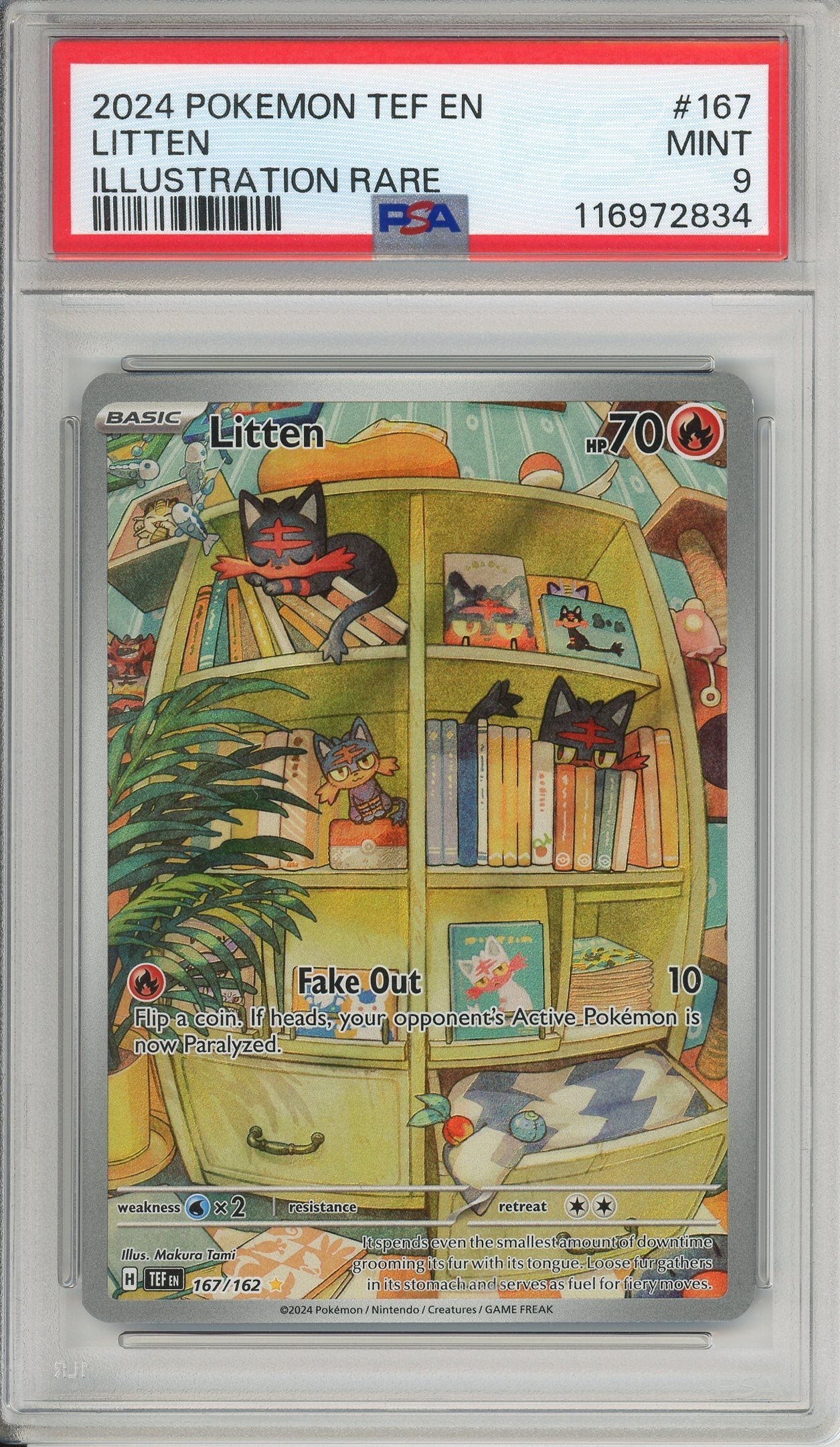 Pokemon Graded: Litten 167/162 Temporal Forces (2024) IR Holo PSA 9