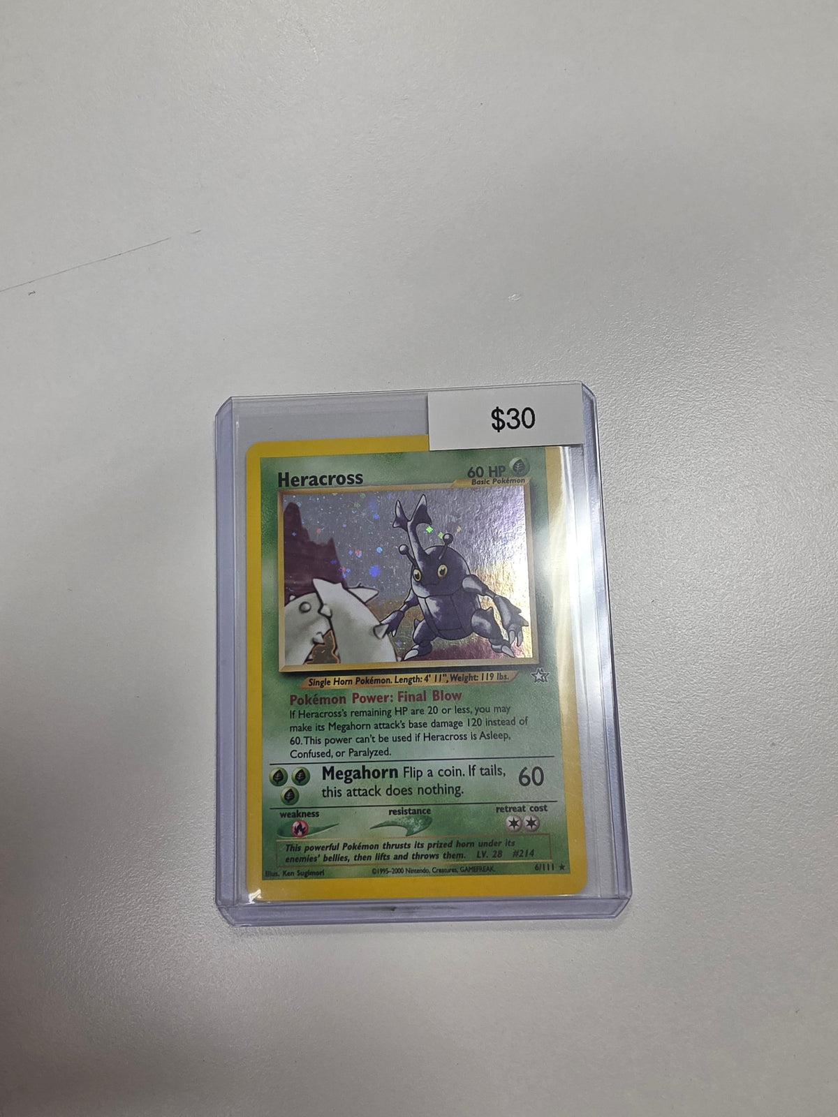 Pokemon Heracross 6/111